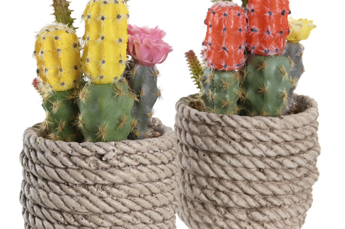 🌵 Decorative Cactus in Rope Effect Pot