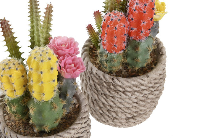🌵 Decorative Cactus in Rope Effect Pot