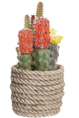 🌵 Decorative Cactus in Rope Effect Pot