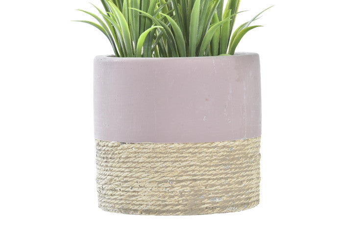 Pianta Decorativa con Vaso Rustico