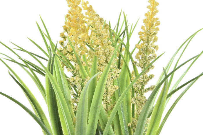 Pianta Decorativa con Vaso Rustico