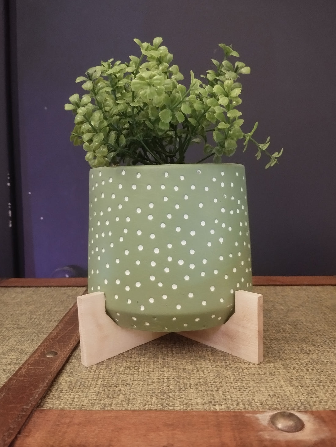 Piantine con vaso in Ceramica Polka Dot con Supporto in Legno – Vivacità e Stile per la Tua Casa