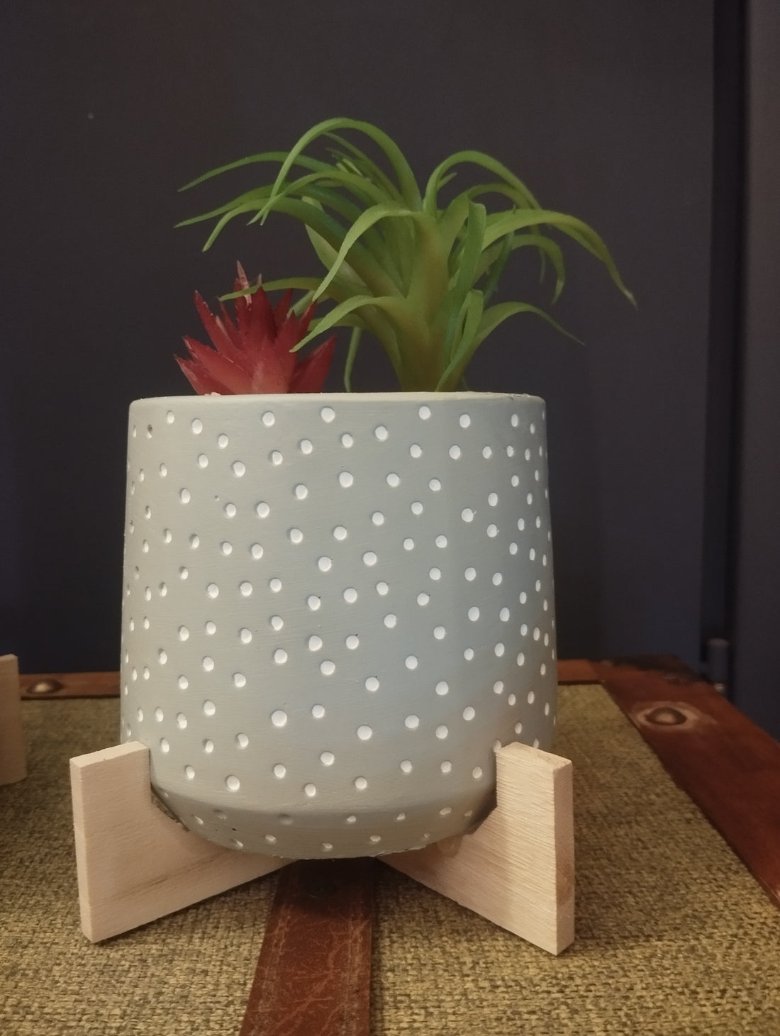 Piantine con vaso in Ceramica Polka Dot con Supporto in Legno – Vivacità e Stile per la Tua Casa