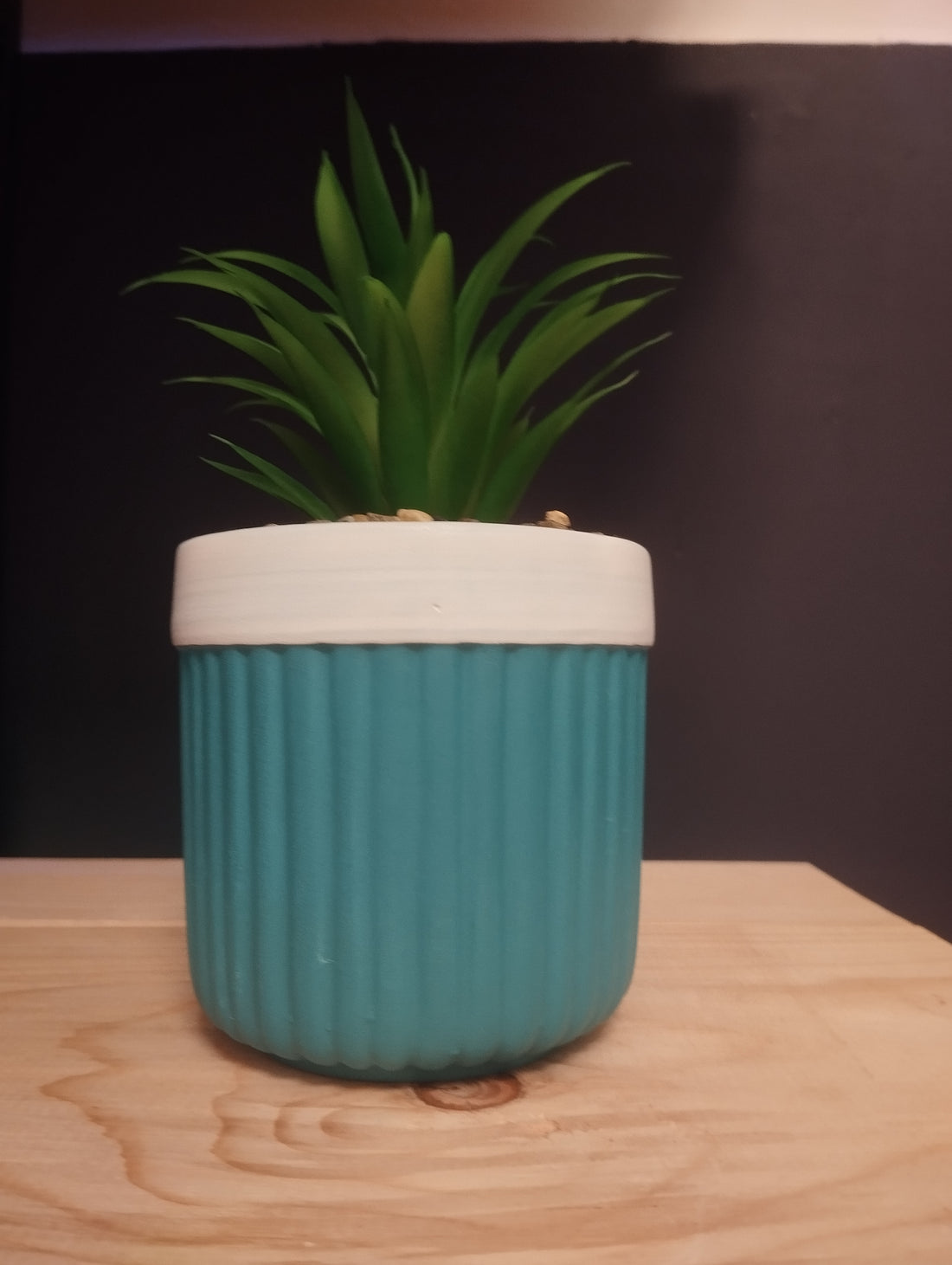 Mini Piante Color Vibes – Un Tocco di Natura e Allegria in Ogni Spazio! 🌈🌿