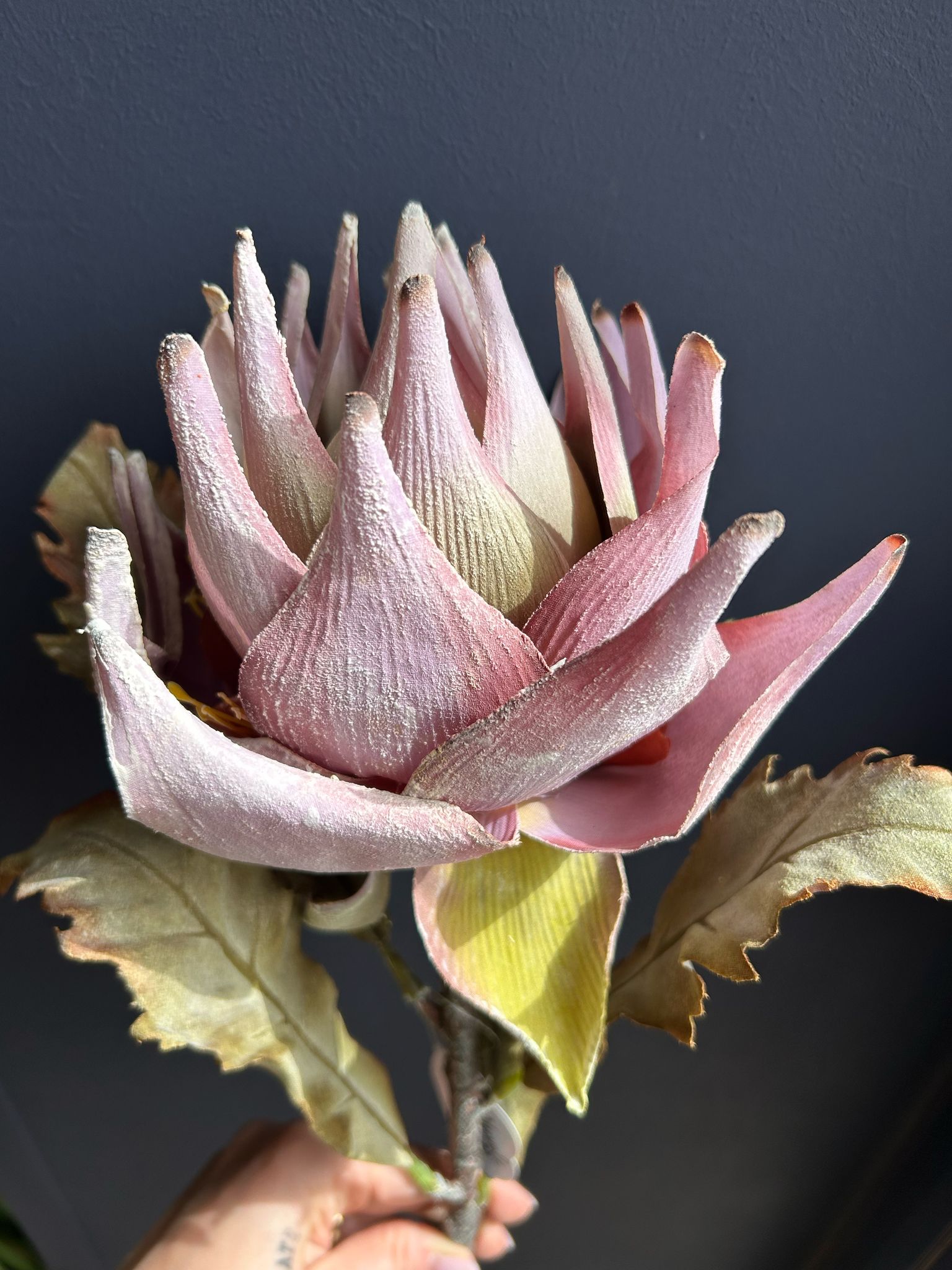Fiore Artificiale Protea Rosa – Eleganza senza Tempo