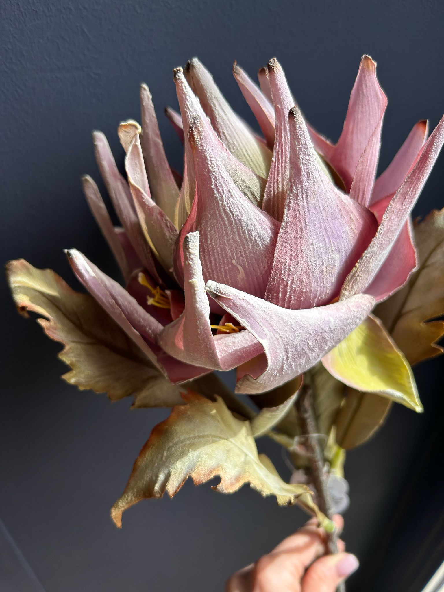 Fiore Artificiale Protea Rosa – Eleganza senza Tempo