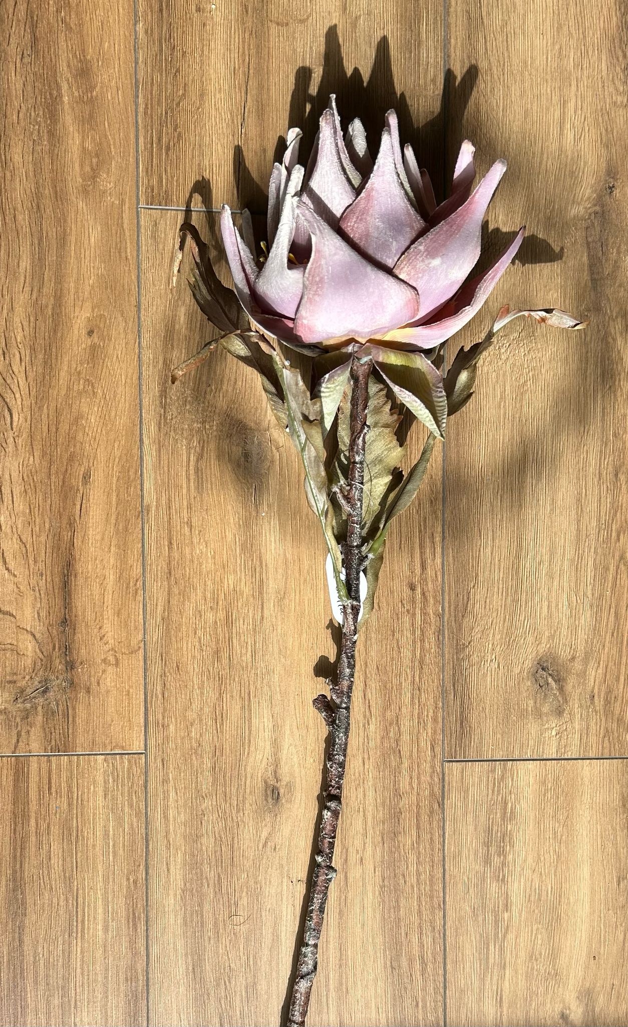 Fiore Artificiale Protea Rosa – Eleganza senza Tempo