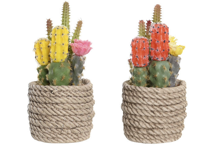 🌵 Decorative Cactus in Rope Effect Pot