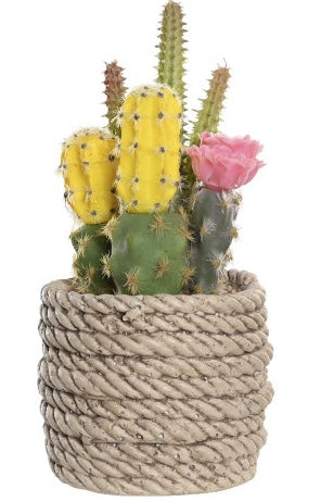 🌵 Decorative Cactus in Rope Effect Pot