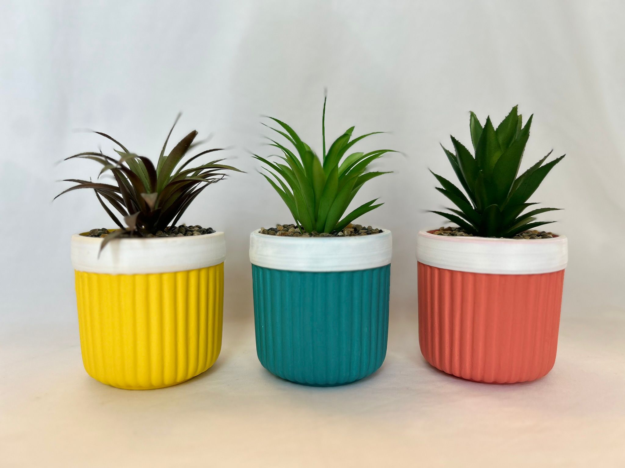 Mini Plants Color Vibes – A Touch of Nature and Joy in Every Space! 🌈🌿