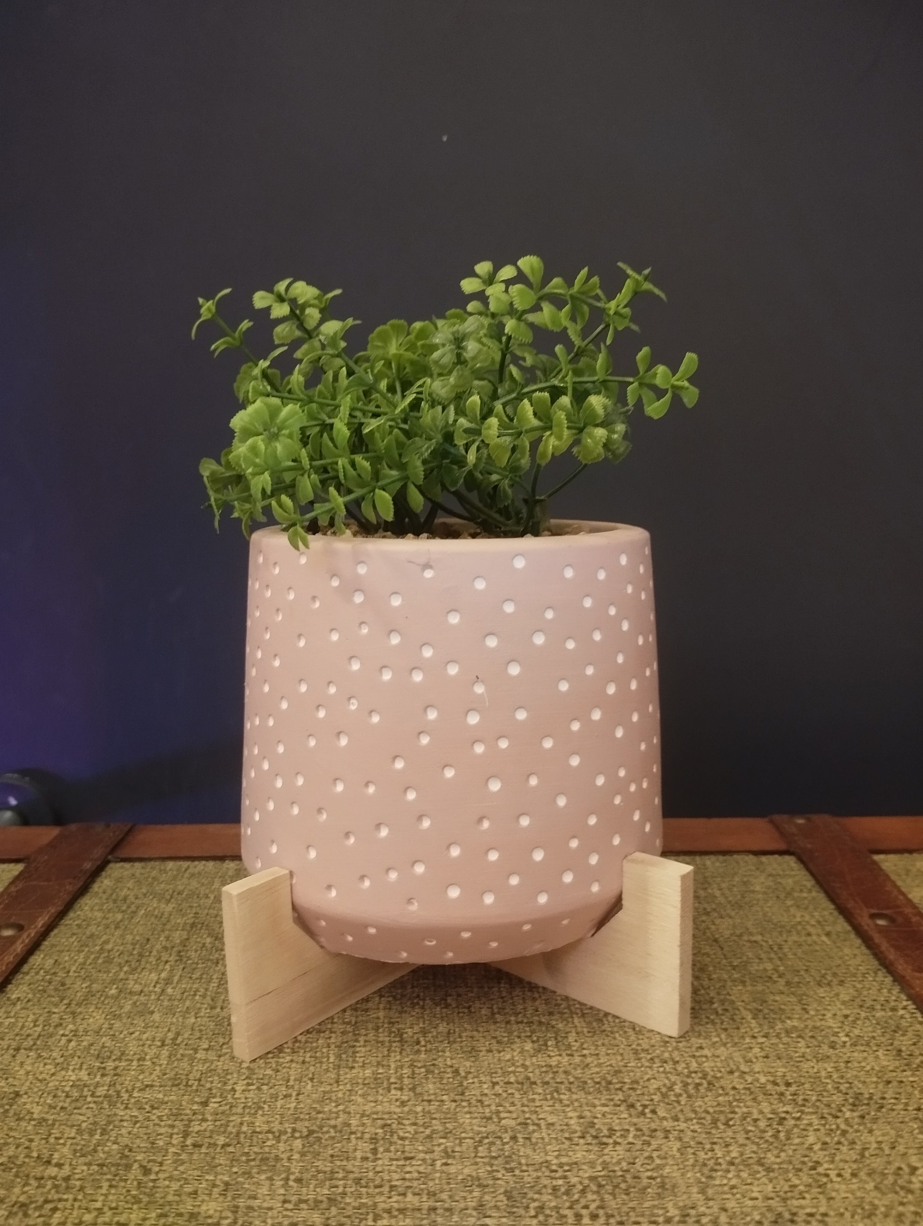 Piantine con vaso in Ceramica Polka Dot con Supporto in Legno – Vivacità e Stile per la Tua Casa